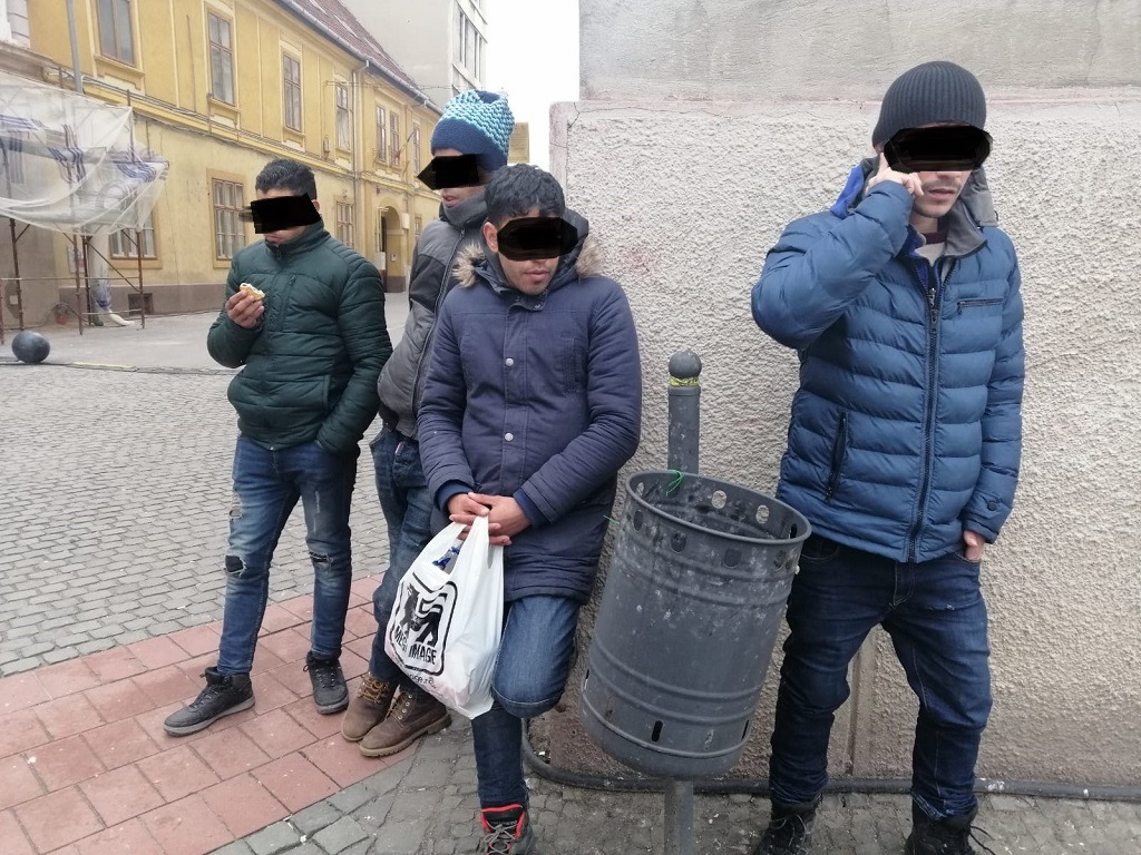 Galerie foto - Poza #3