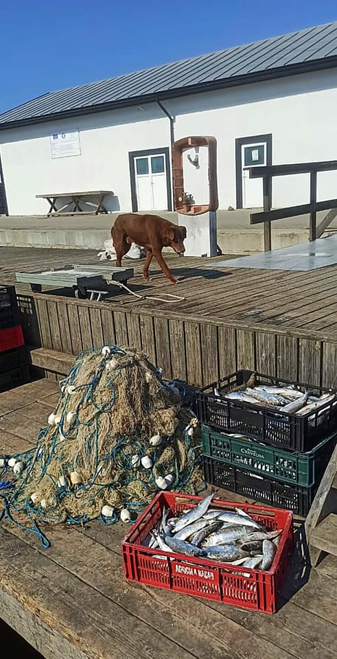 Galerie foto - Poza #2