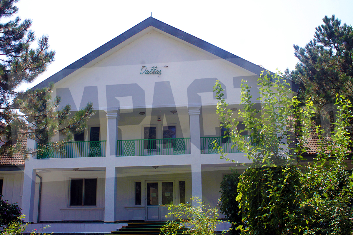 Galerie foto - Poza #1