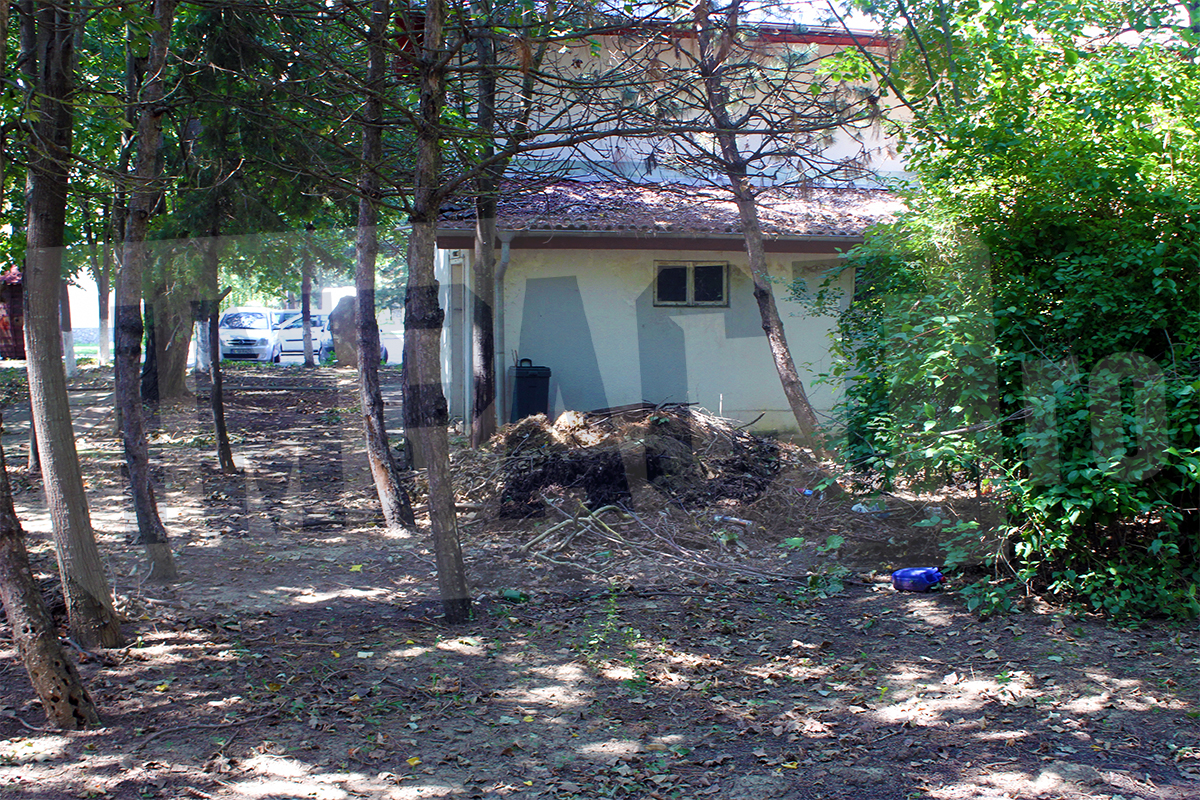 Galerie foto - Poza #2