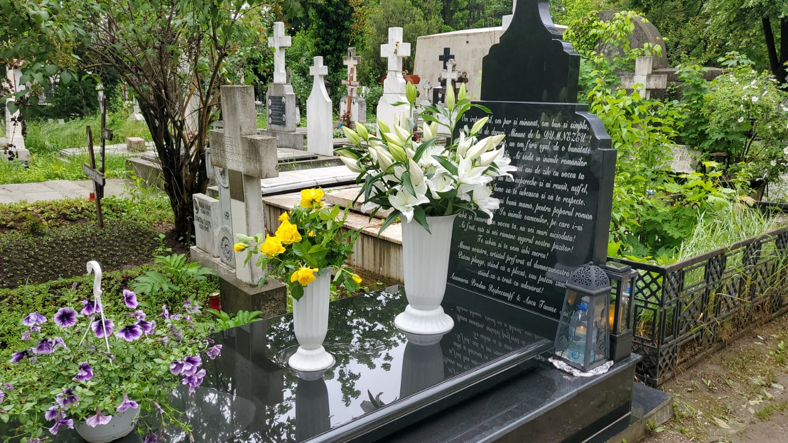 Galerie foto - Poza #3