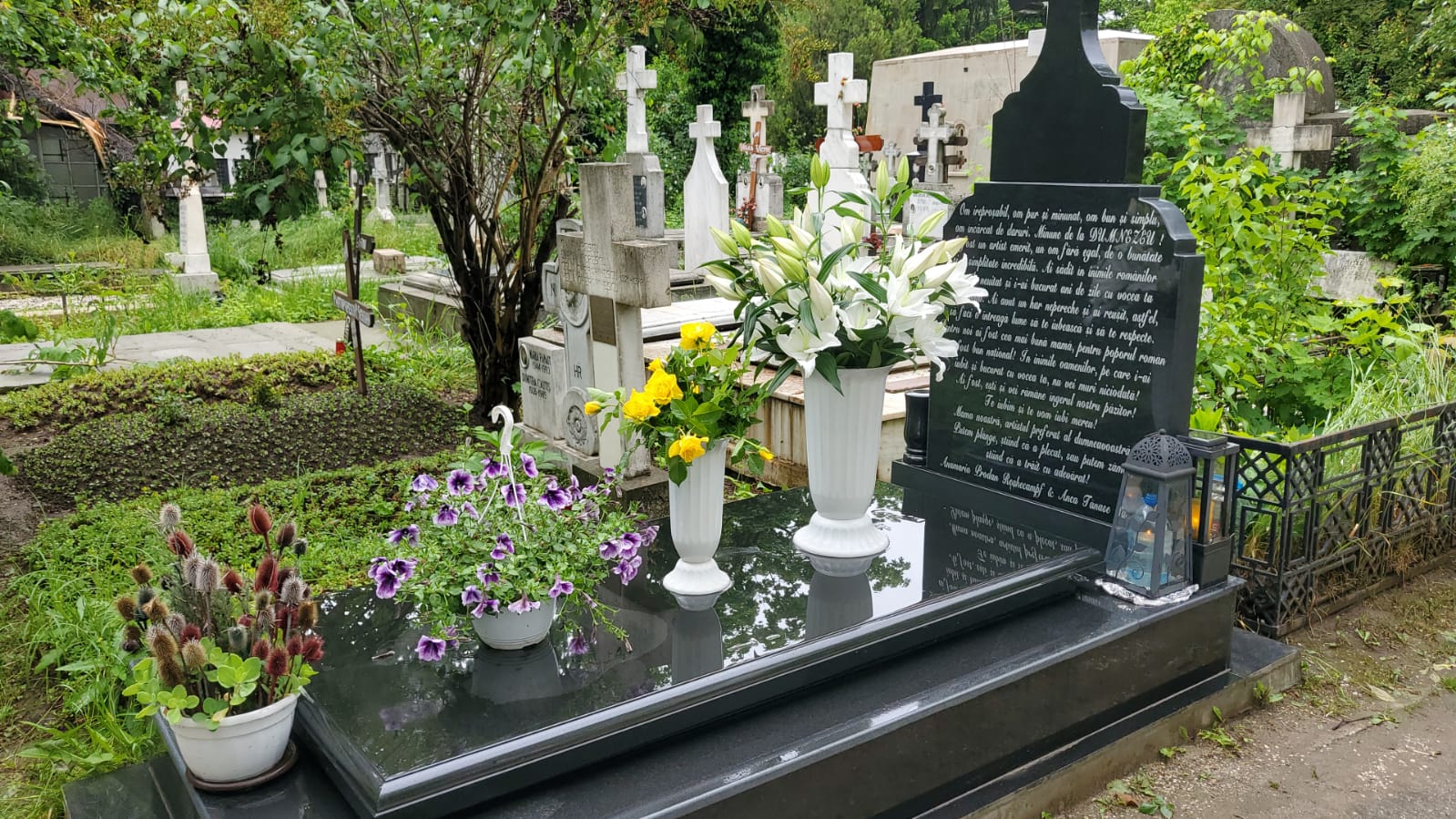 Marturia tulburatoare a Anamariei Prodan la trei ani de la moartea Ionelei Prodan