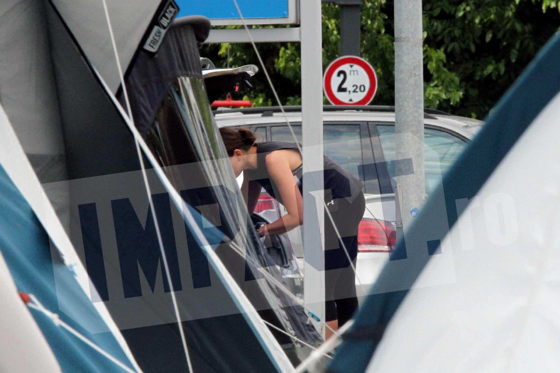 Galerie foto - Poza #2