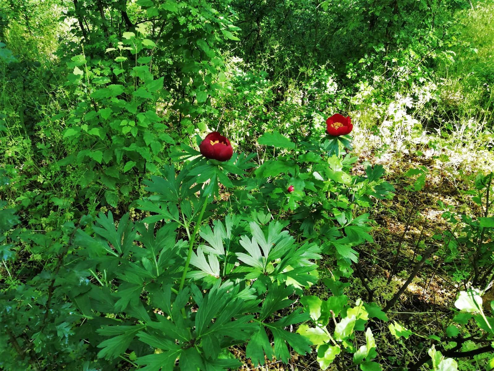 Galerie foto - Poza #3