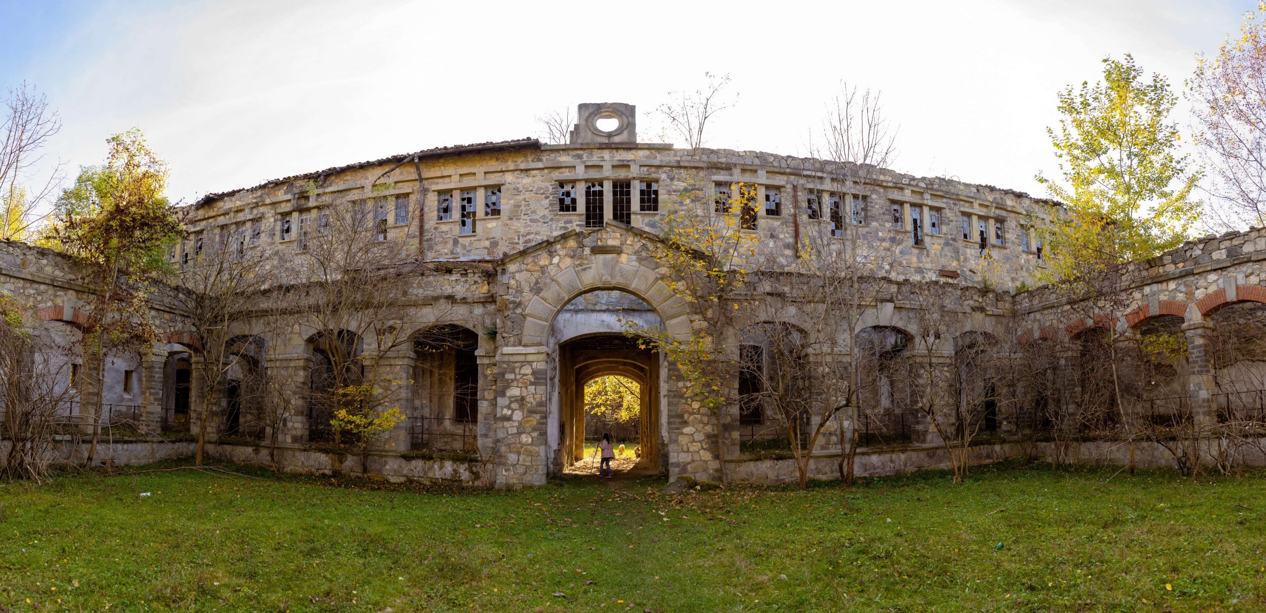 Galerie foto - Poza #2