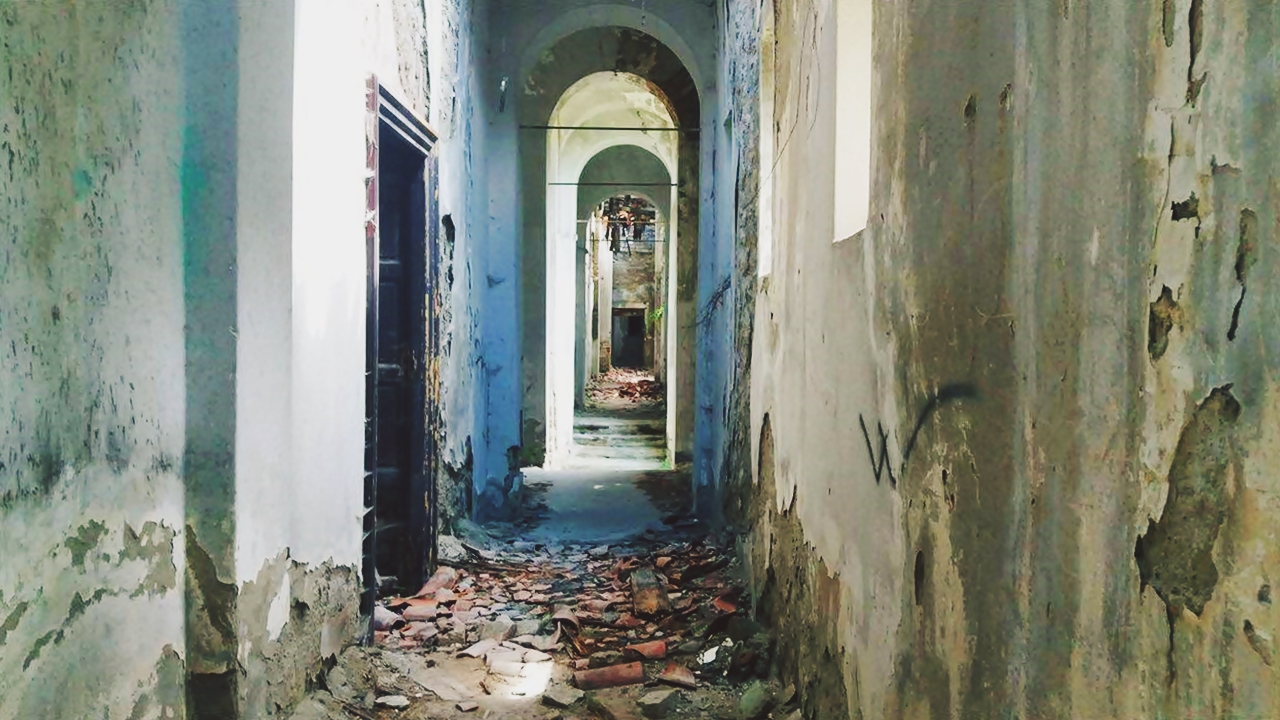 Galerie foto - Poza #1