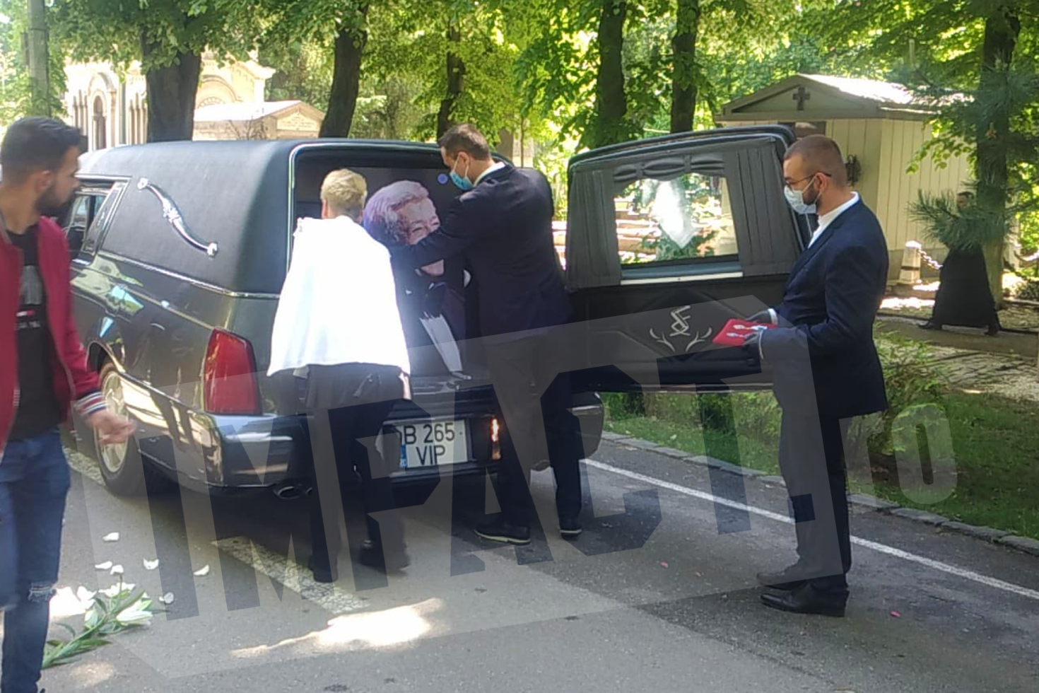 Galerie foto - Poza #3