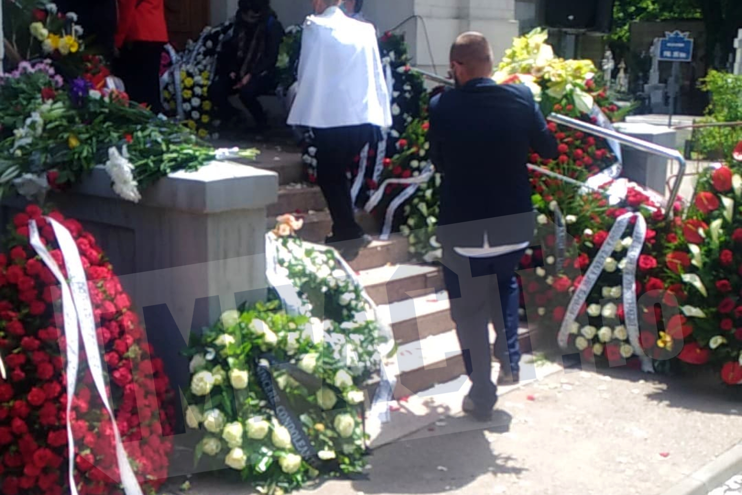 Galerie foto - Poza #2