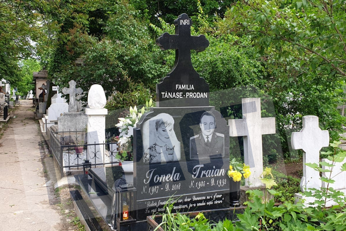 Galerie foto - Poza #3