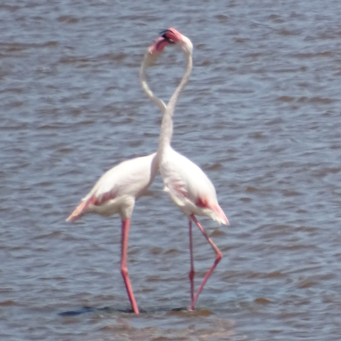 Galerie foto - Poza #2