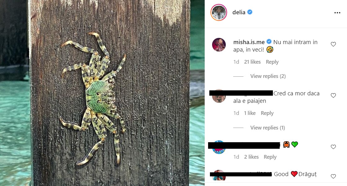 Postarea Deliei care i-a îngrozit pe internauţi