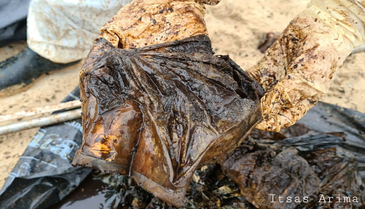 Galerie foto - Poza #2