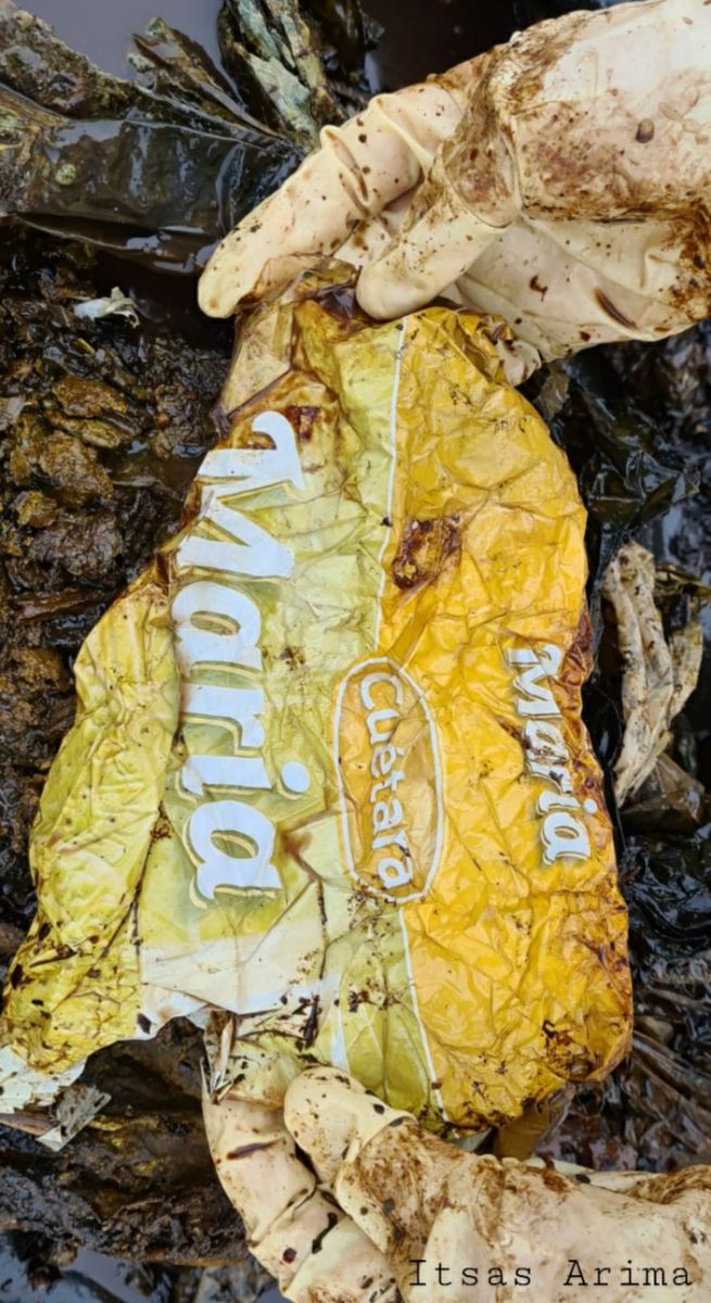 Galerie foto - Poza #3