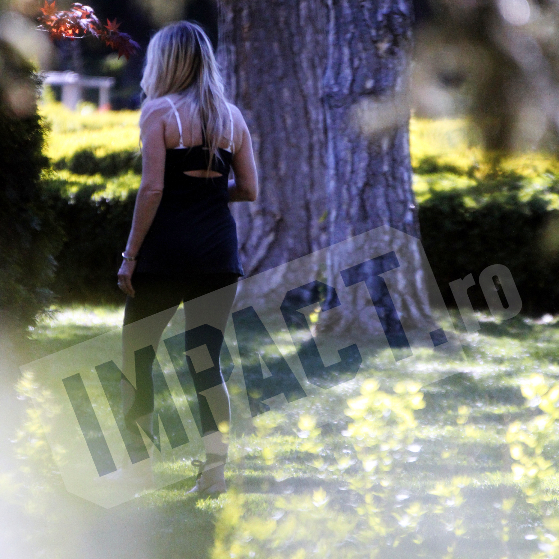 Galerie foto - Poza #2