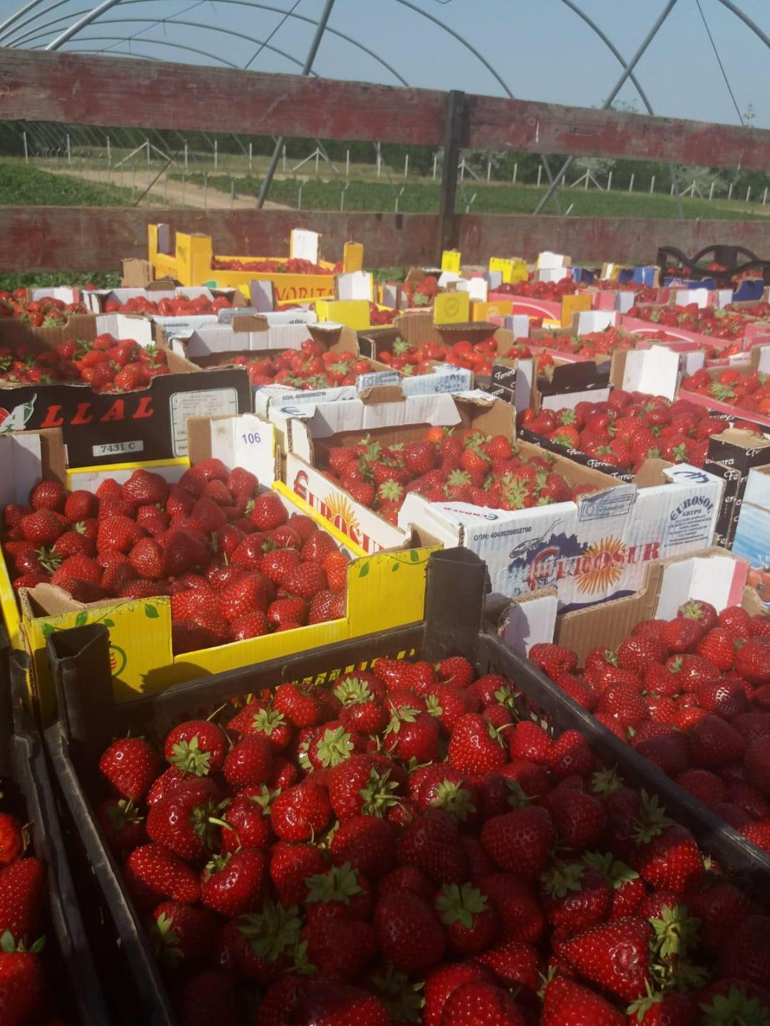 Galerie foto - Poza #3