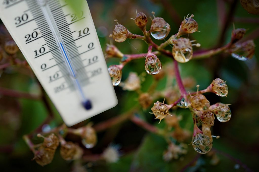 Vreme capricioasă în zilele următoare. Vin furtunile de vară. Prognoza meteo