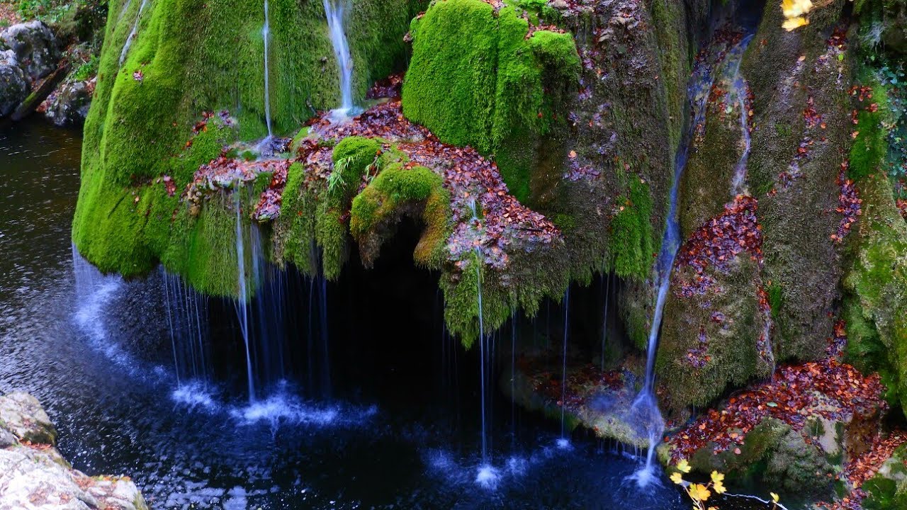 Galerie foto - Poza #1