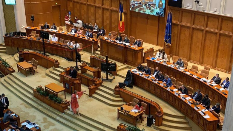 Diana Șoșoacă, cu un sac pentru cadavre, în Parlament, la dezbaterea moțiunii de cenzură împotriva Guvernului Cîțu
