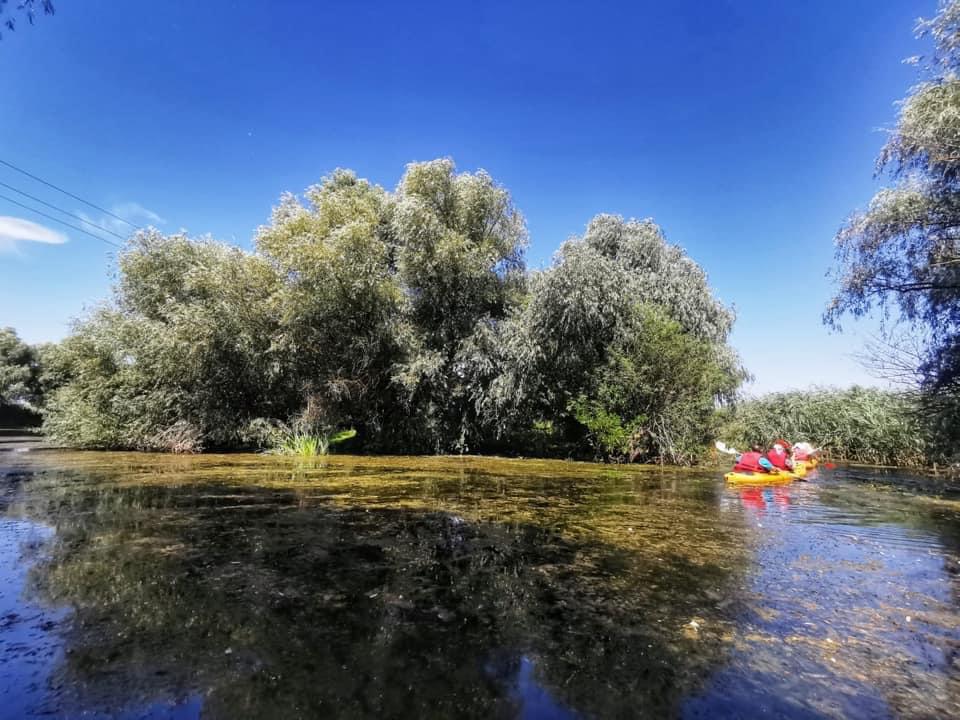 Excursiile de o zi in Delta Dunarii, un produs turistic toxic