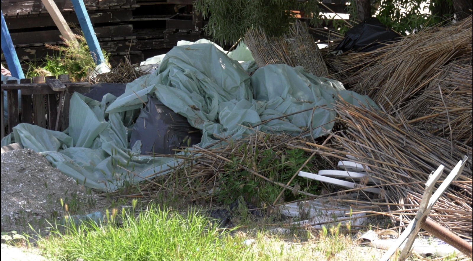 Litoralul romanesc are preturi piperate