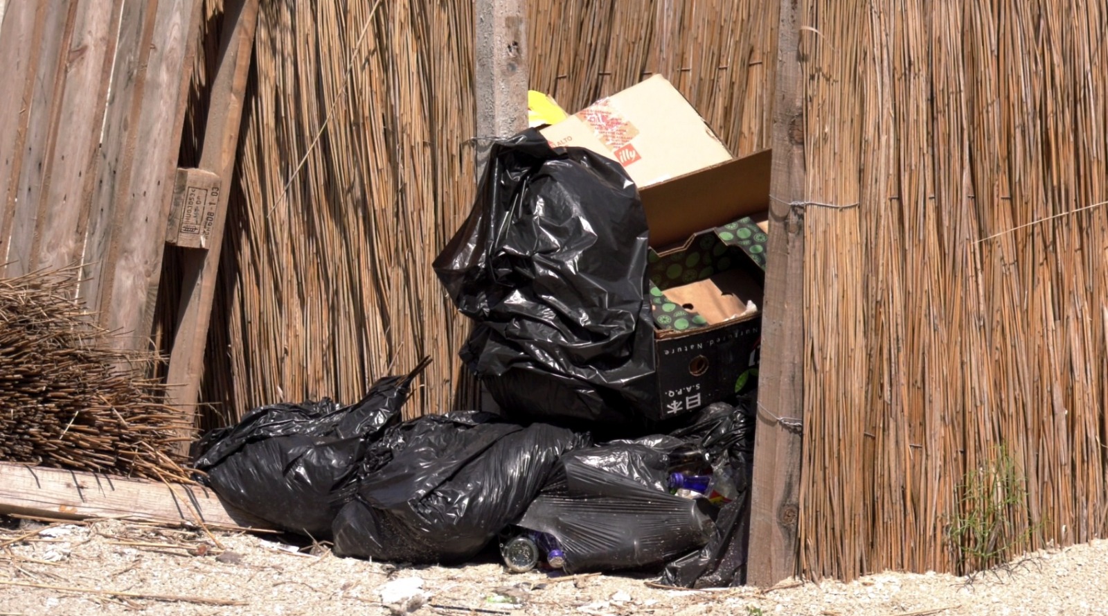 Litoralul romanesc are preturi piperate