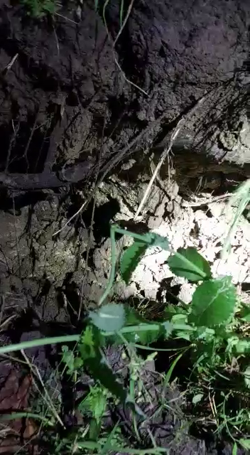 Localitatile din Valcea, la un pas de tragedie