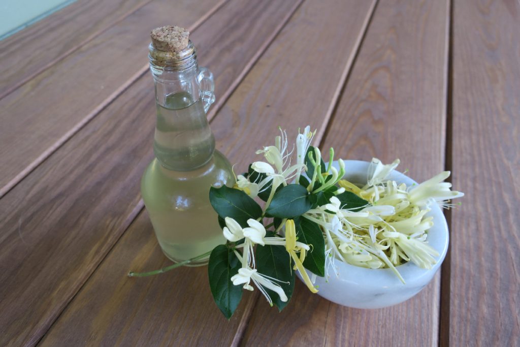 Mâna Maicii Domnului, o plantă minune. Tot ce trebuie să ştii despre îngrijirea ei