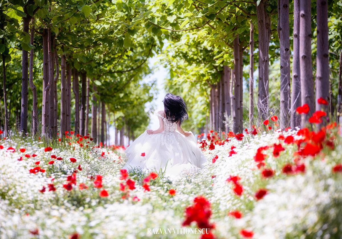 Galerie foto - Poza #2