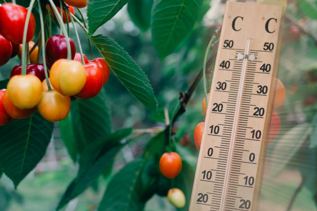 Prognoza meteo pentru următoarea lună. Vremea, mai rece decât ar trebui. Când cresc temperaturile?