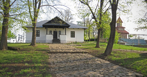 Ramasitele lui Eminescu, aduse in satul natal