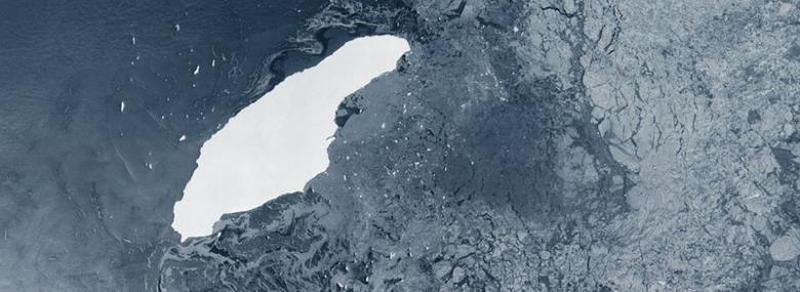 Galerie foto - Poza #1