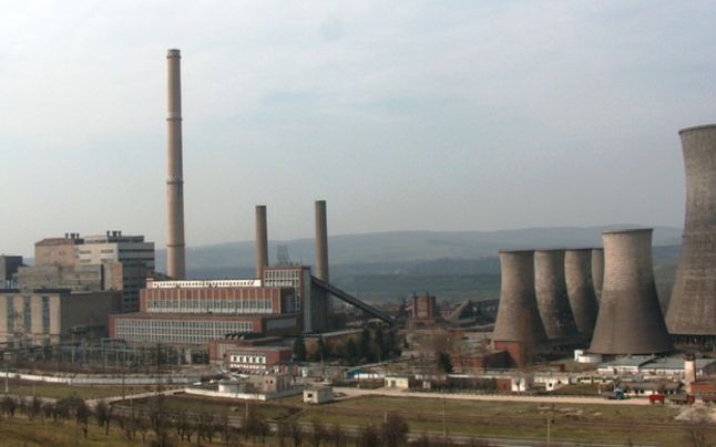 Urs zarit plimbandu-se prin halele dezafectate ale Termocentralei Doicesti