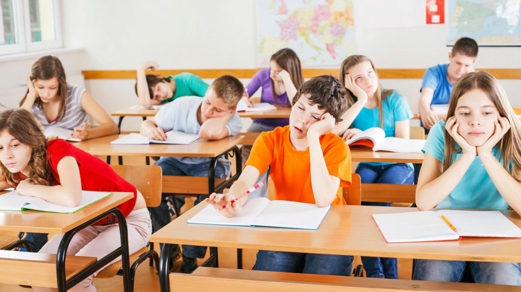 Doua materii noi ar urma sa se introduca in programa scolara
