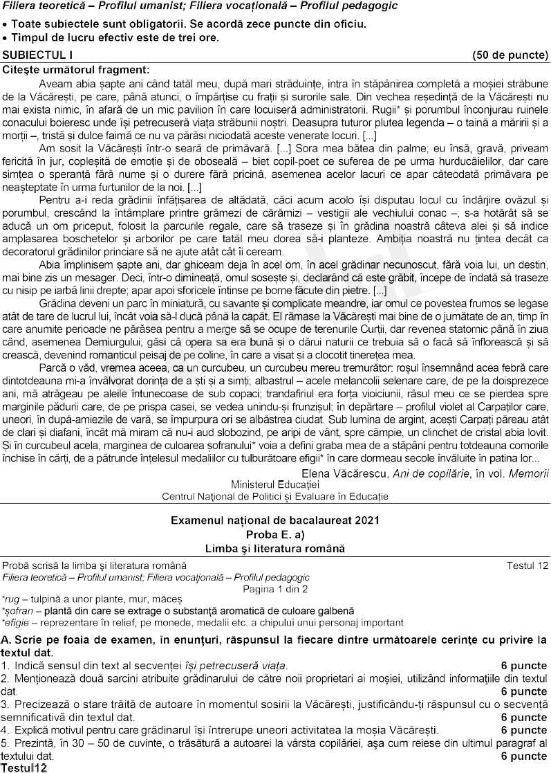 Subiecte Română BAC 2021. Ce a picat la profilul uman