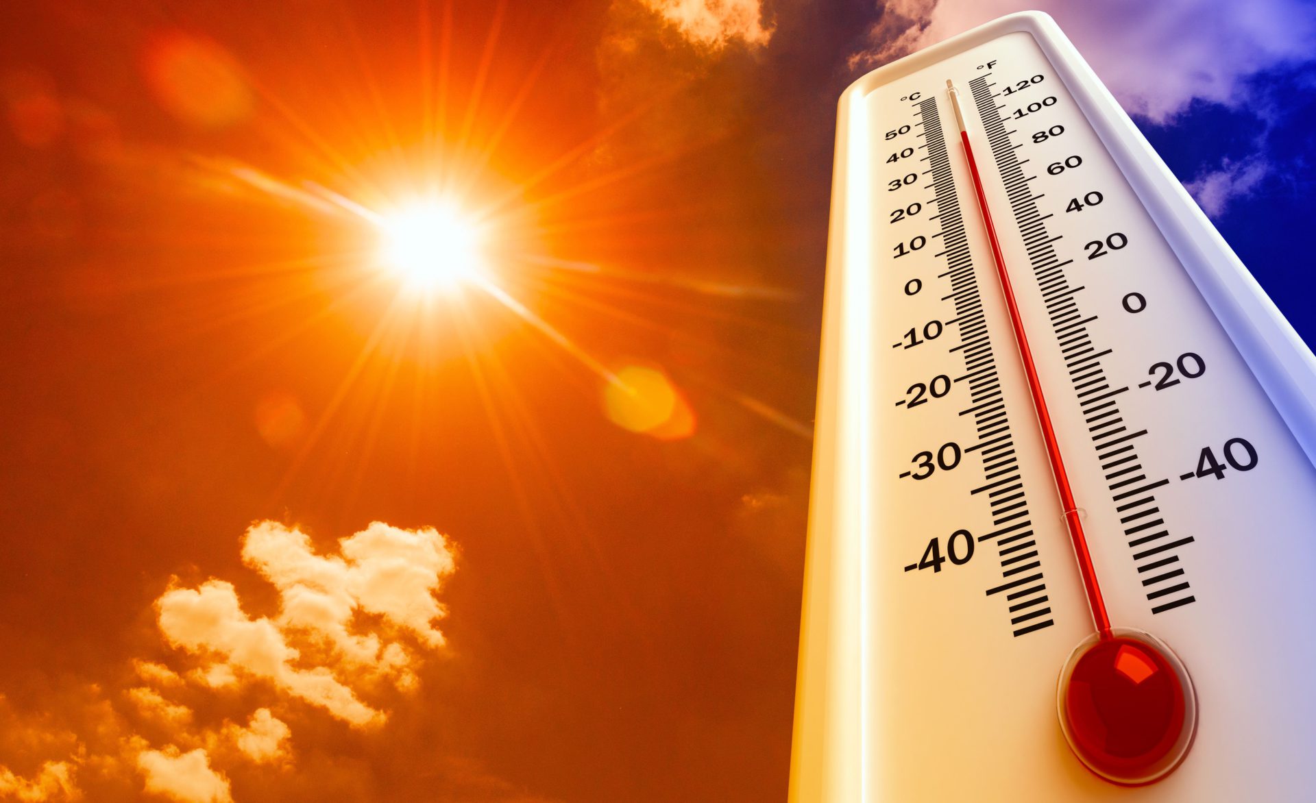 Zapada va disparea din Romania. Cu cat va creste temperatura in urmatoarele decenii