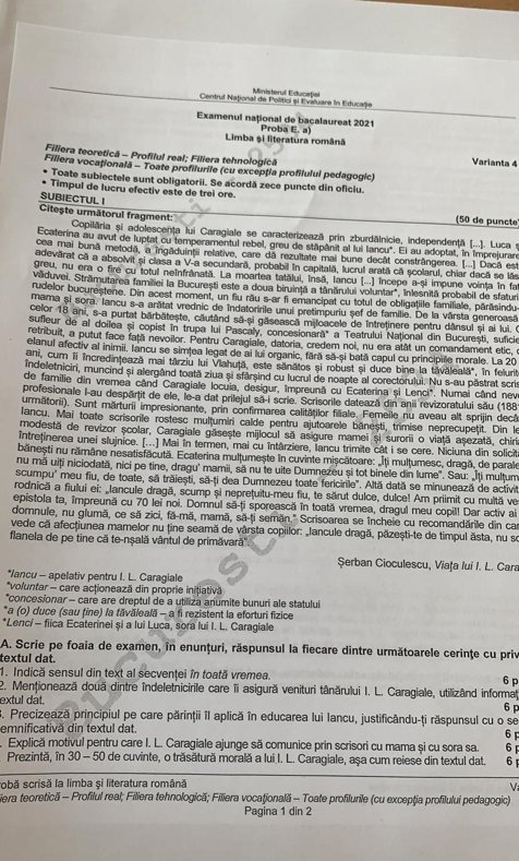 Subiecte Română BAC 2021. Ce a picat la profilul real