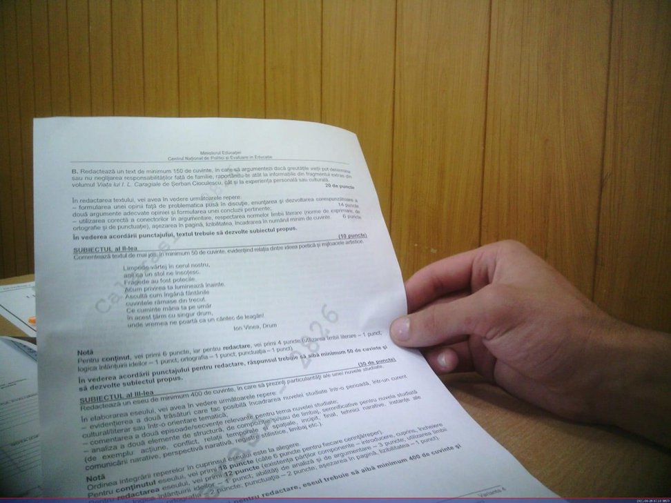 Subiecte Română BAC 2021. Ce a picat la profilul real