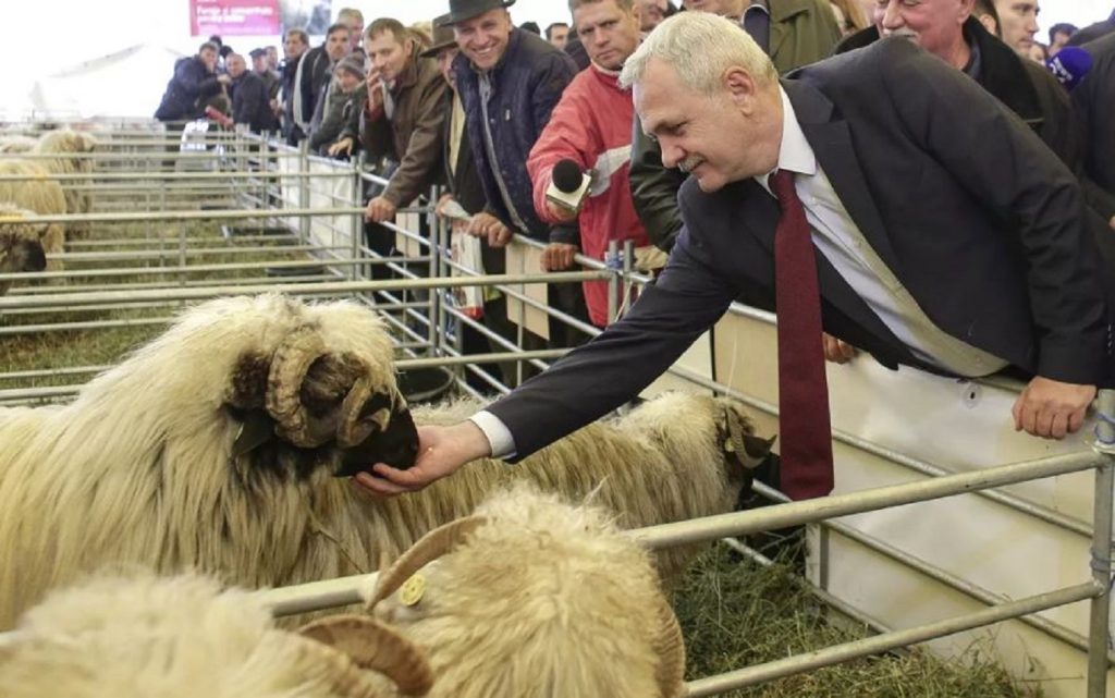 Ce loc de muncă va avea Liviu Dragnea după ce a fost eliberat. Vestea la care nu se aștepta nimeni