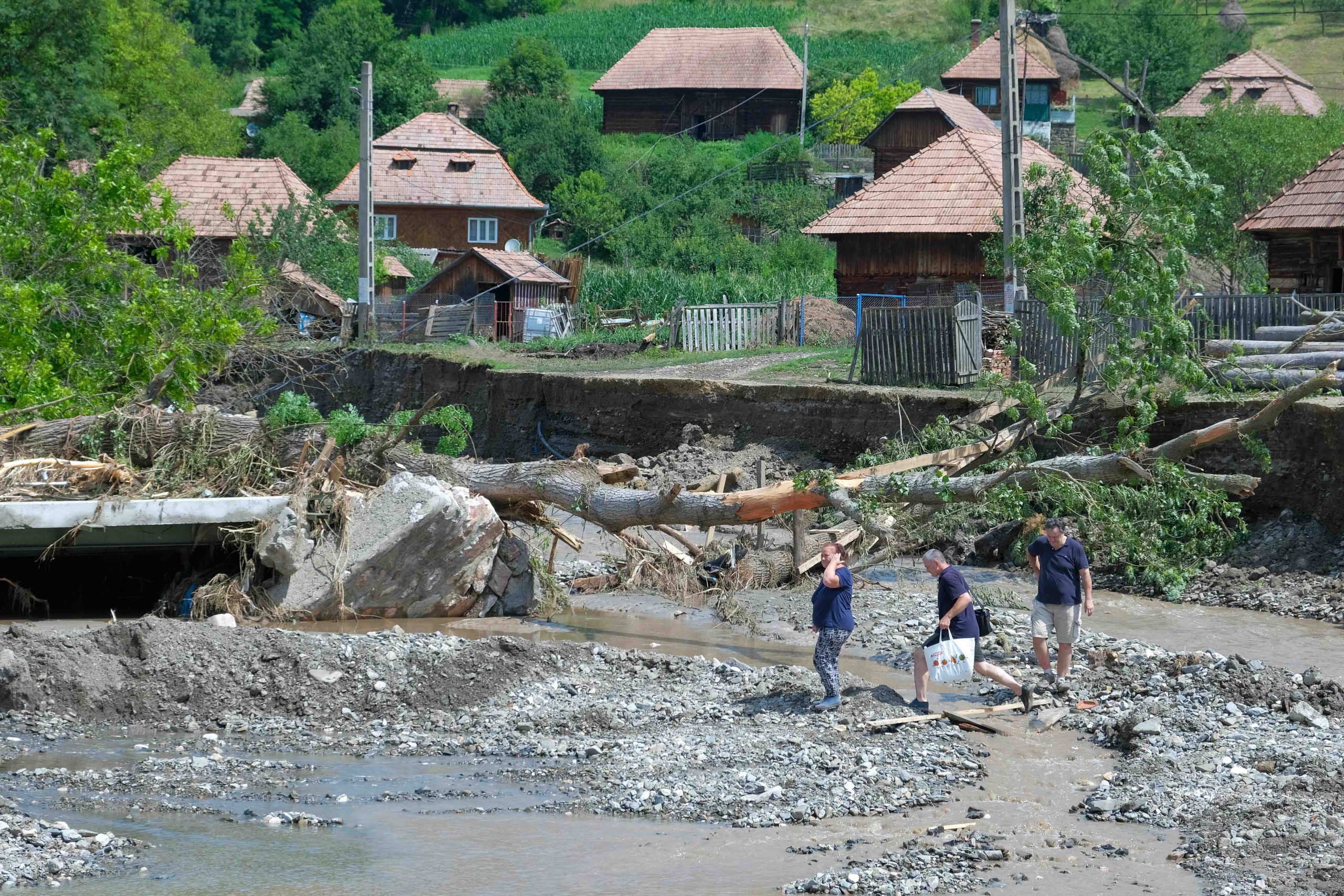 Galerie foto - Poza #1