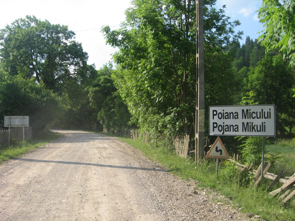 Furia naturii a distrus 14 hectare de pădure veche de aproximativ 60 de ani. Mii de arbori, smulși din pământ la Poiana Micului
