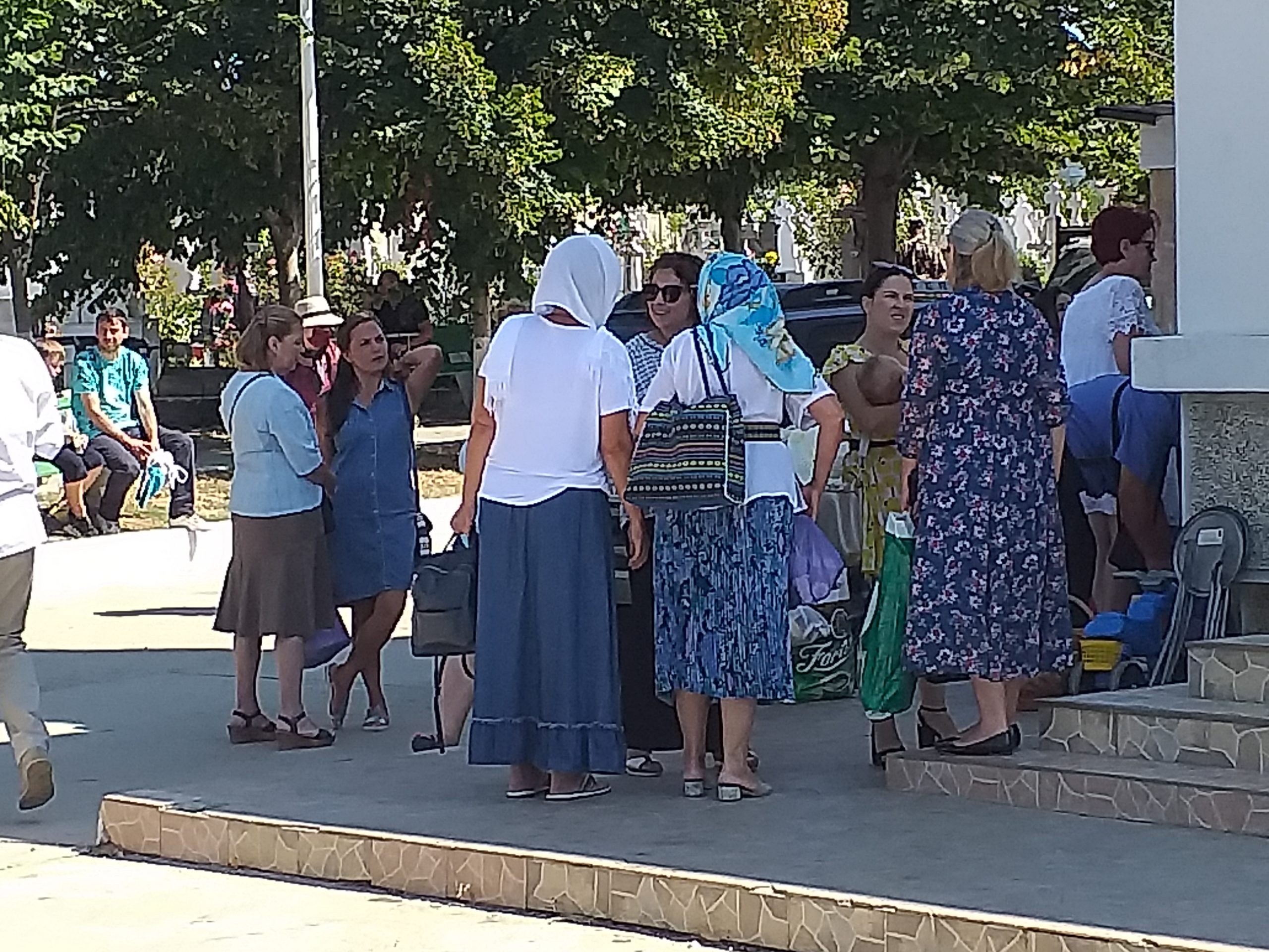 Galerie foto - Poza #2