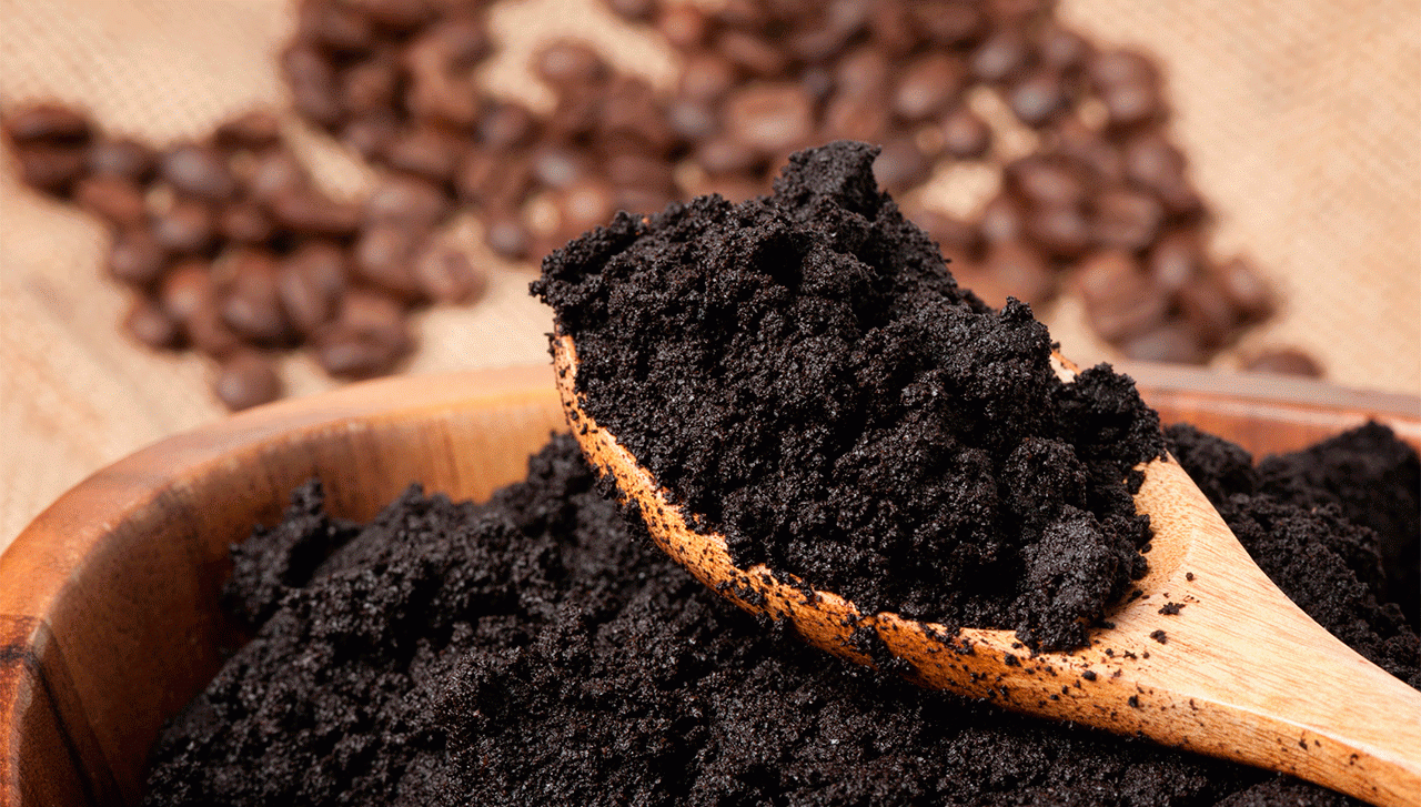 Ce se întâmplă de fapt dacă pui zațul de la cafea în pământul florilor