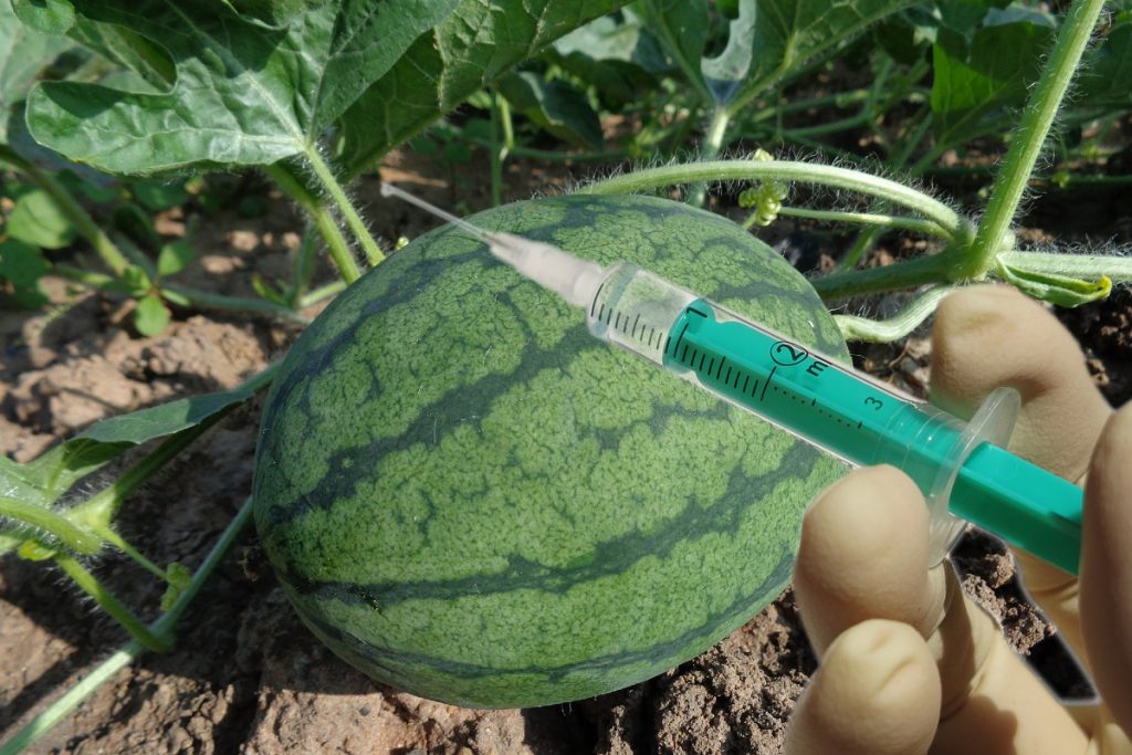 Cum îţi dai seama dacă un pepene a fost injectat. E mai simplu decât ai fi crezut