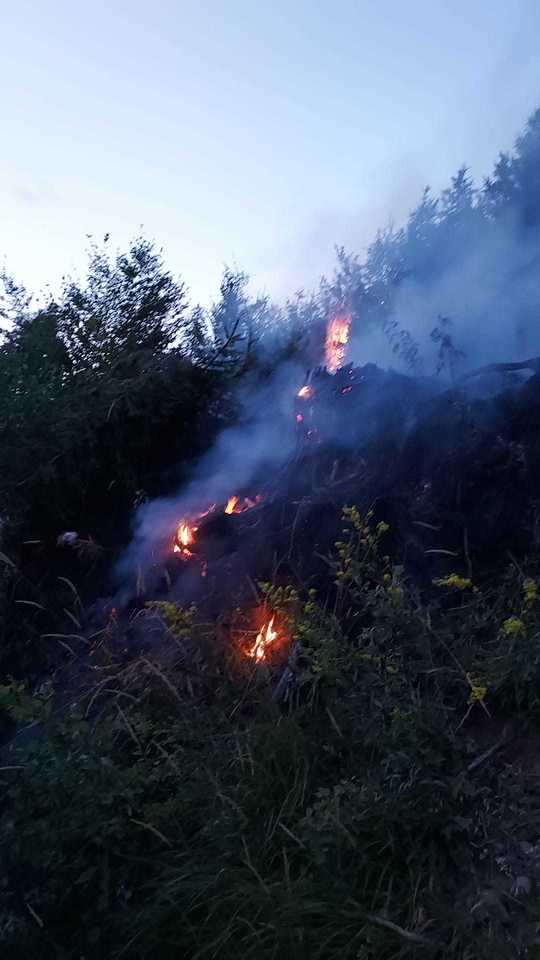 Incendiu de pădure în munții Căpățânii