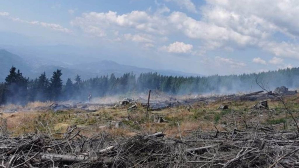 Incendiu în Masivul Şureanu, la cota 1.400. Aproximativ 90 de pompieri acționează pentru stingerea focului