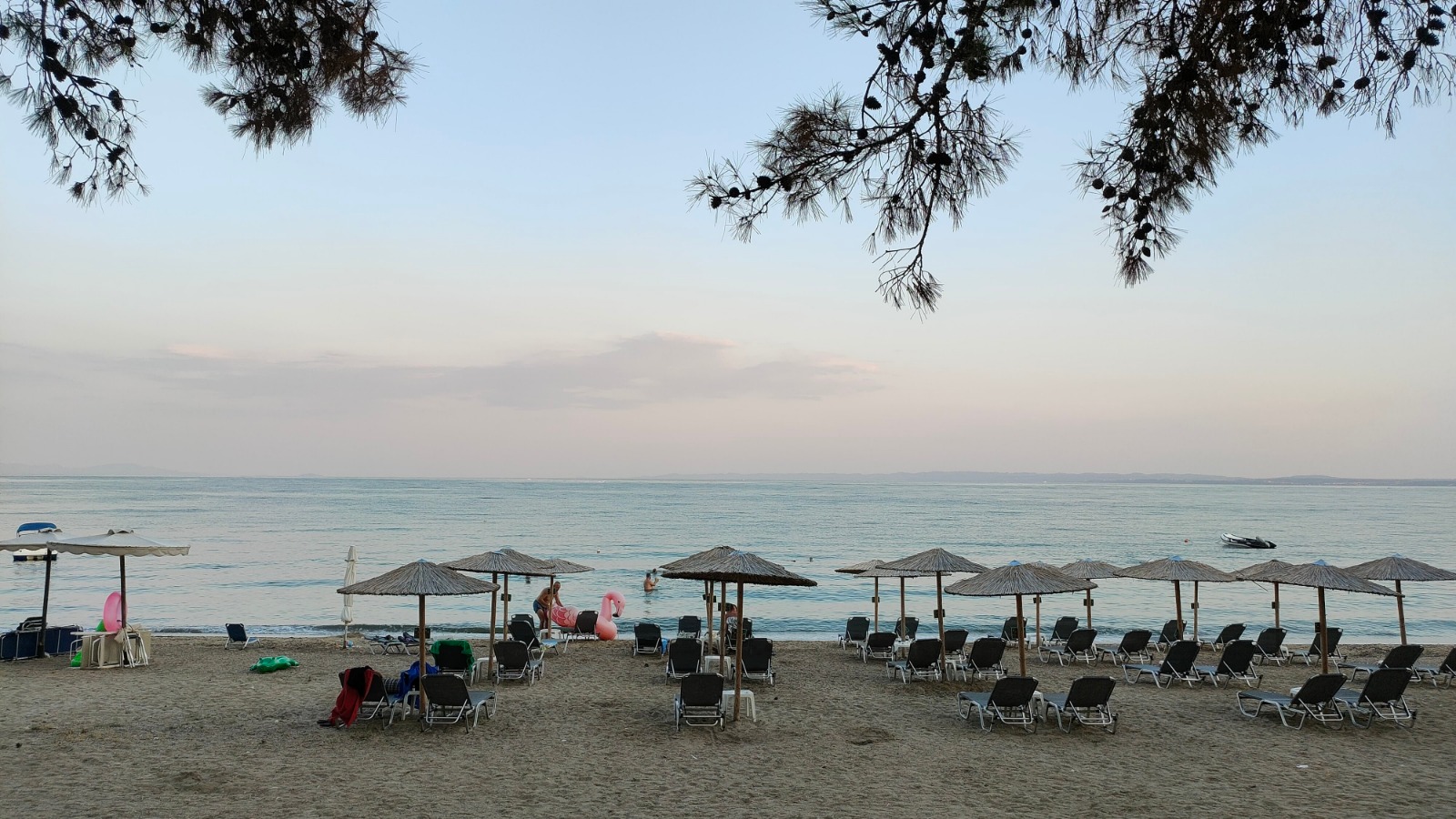 Galerie foto - Poza #3