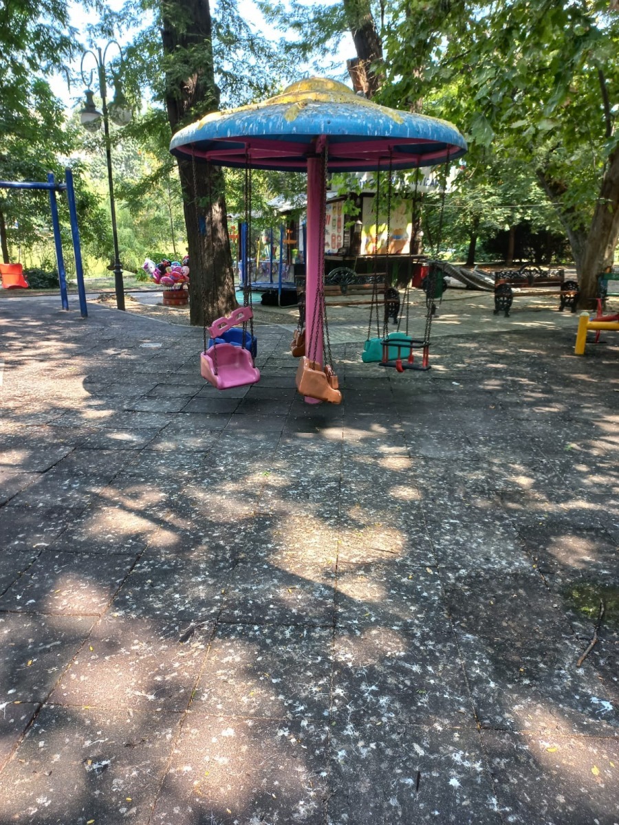 Care este motivul pentru care Parcul Cișmigiu este evitat de bucureșteni