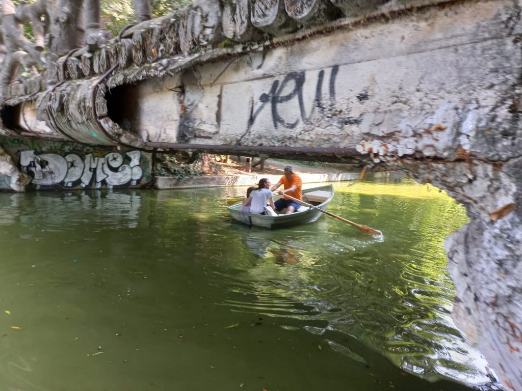 Galerie foto - Poza #1