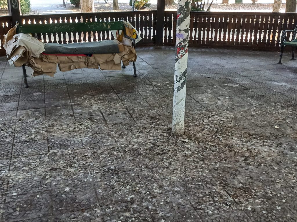 Galerie foto - Poza #2