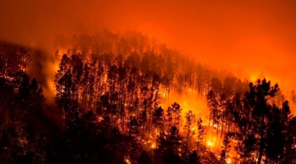 Incendii dramatice în New Mexico. Sute de case distruse și mii de oameni evacuați. S-a declarat stare de urgență